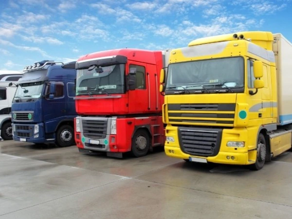 Bursa Erfelek Nakliye